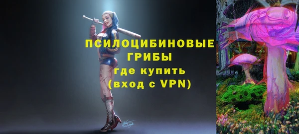 спиды Алзамай