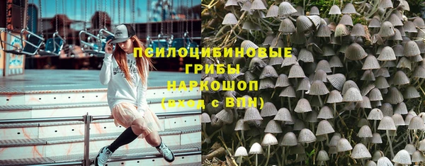 спиды Алзамай